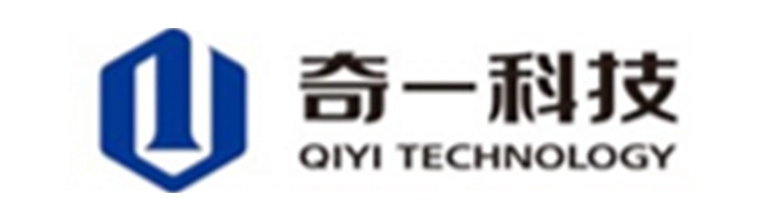 Qiyi_Partnerlogo